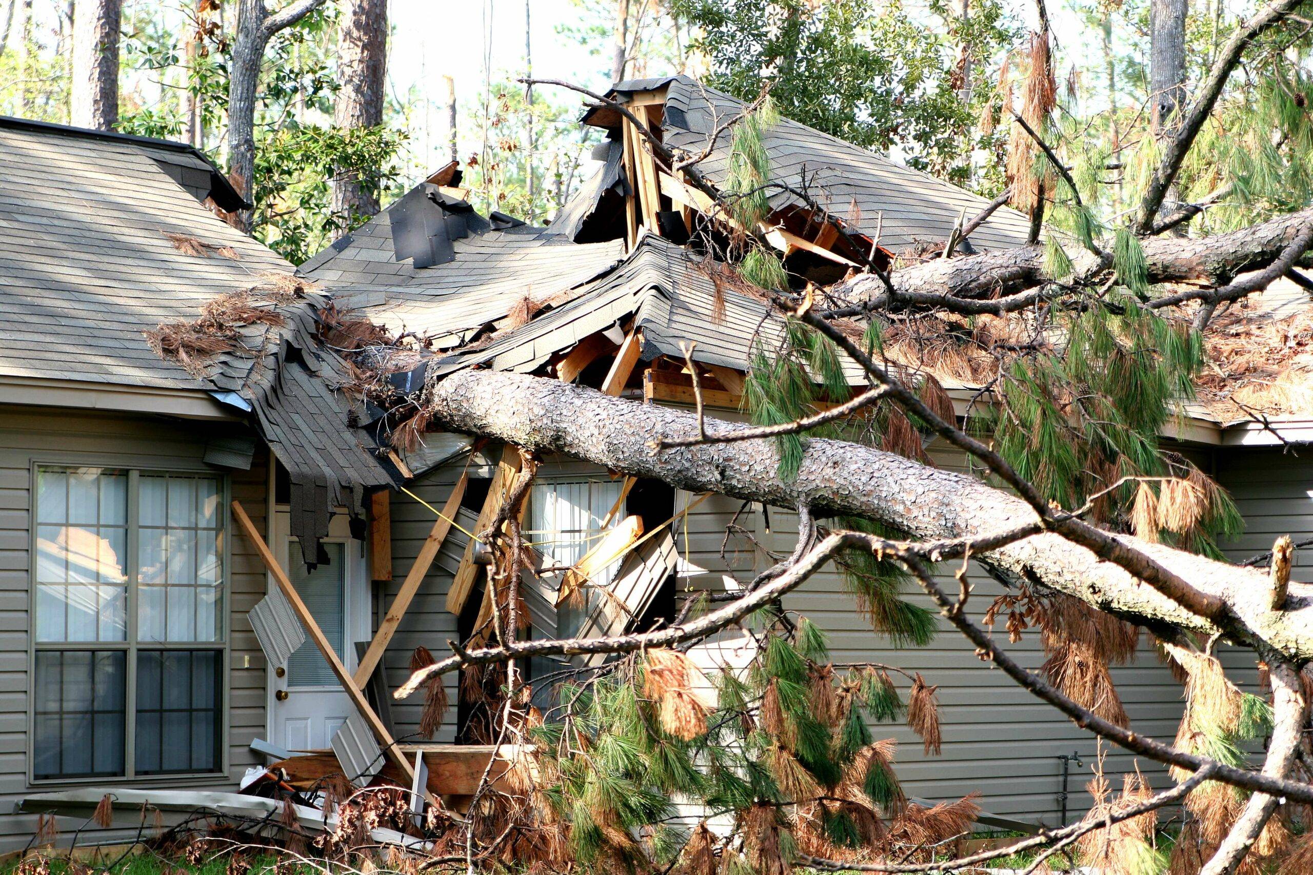 Fallen tree damages roof of a house.